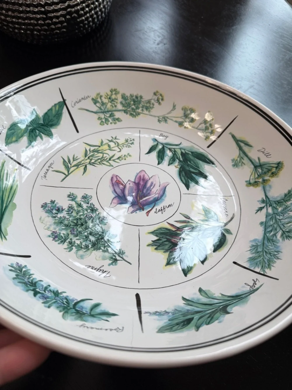 William Sonoma Herb-Illustration Ceramic Serving Plate 12.5”